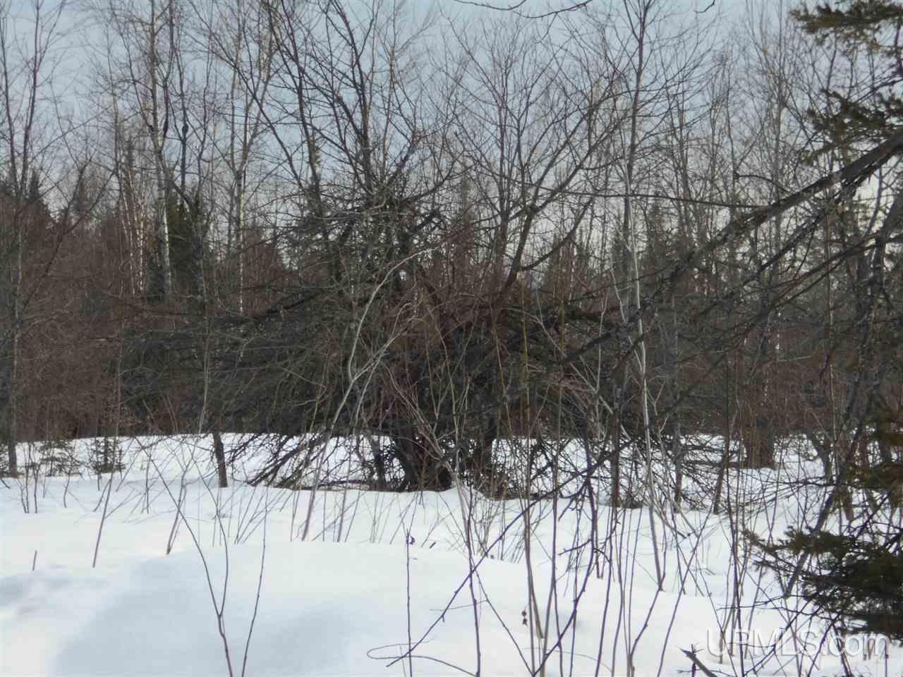 Tbd Tapiola Road Chassell, MI 49916 - Photo 8 of 14