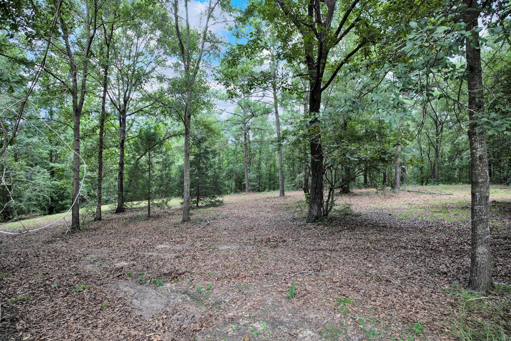 88 McArdle Road Dothan, AL 36303 - Photo 3 of 43