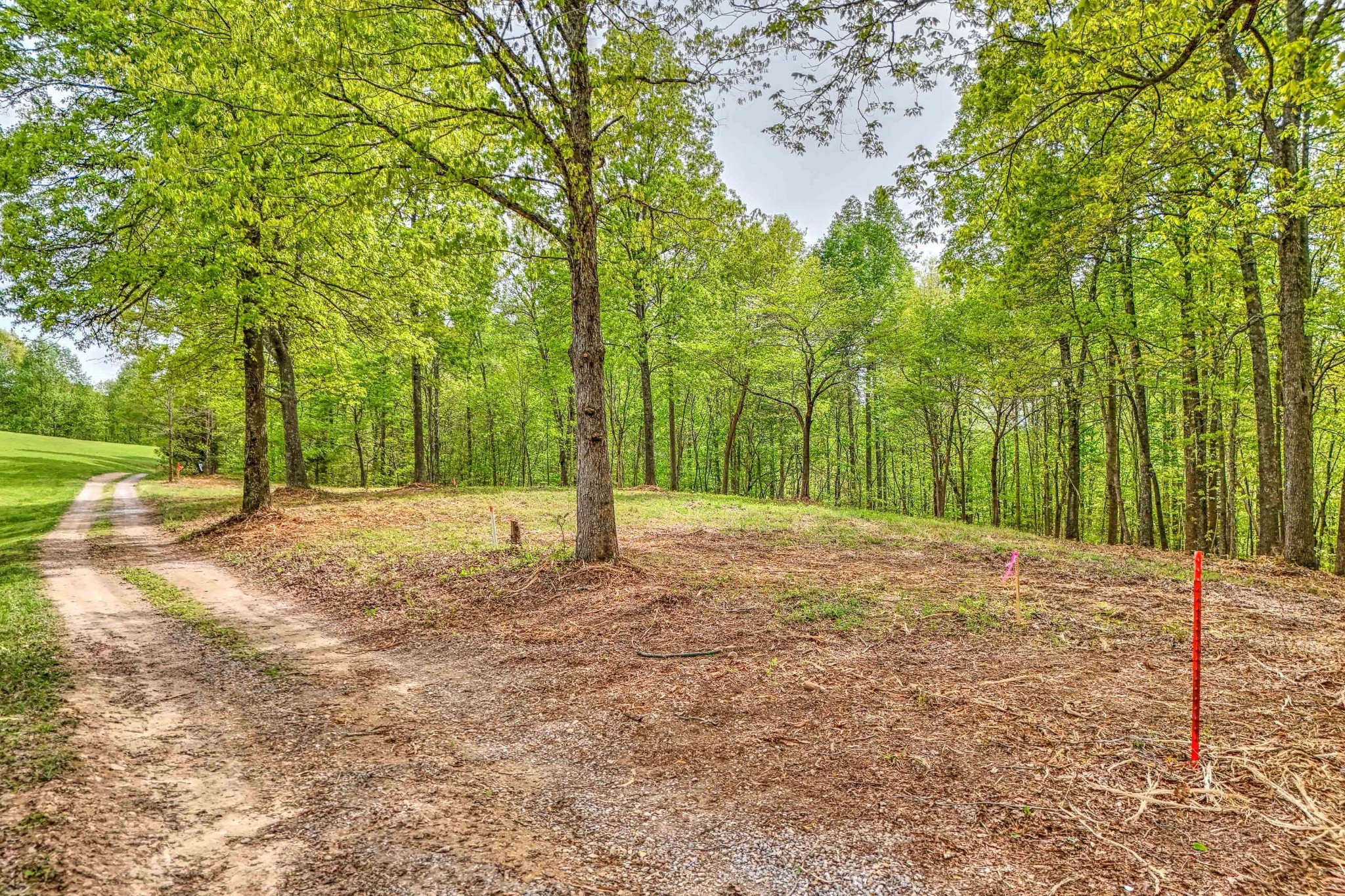 0 R B K Lane Bethpage, TN 37022 - Photo 11 of 20 a backyard of a house with large trees