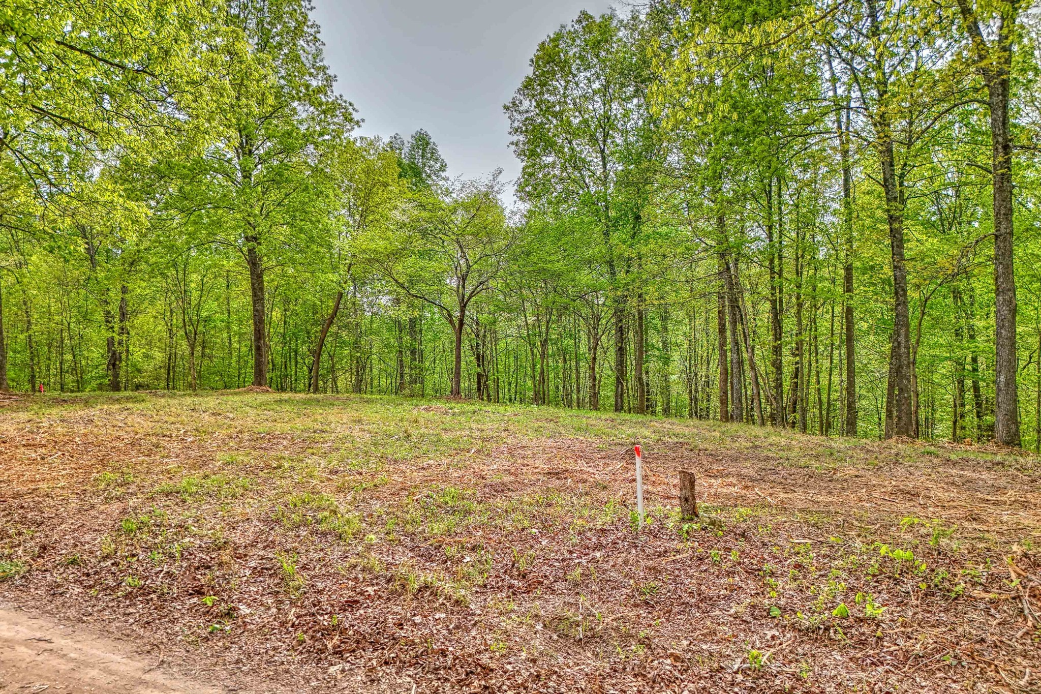 0 R B K Lane Bethpage, TN 37022 - Photo 12 of 20 a big yard with trees in the background