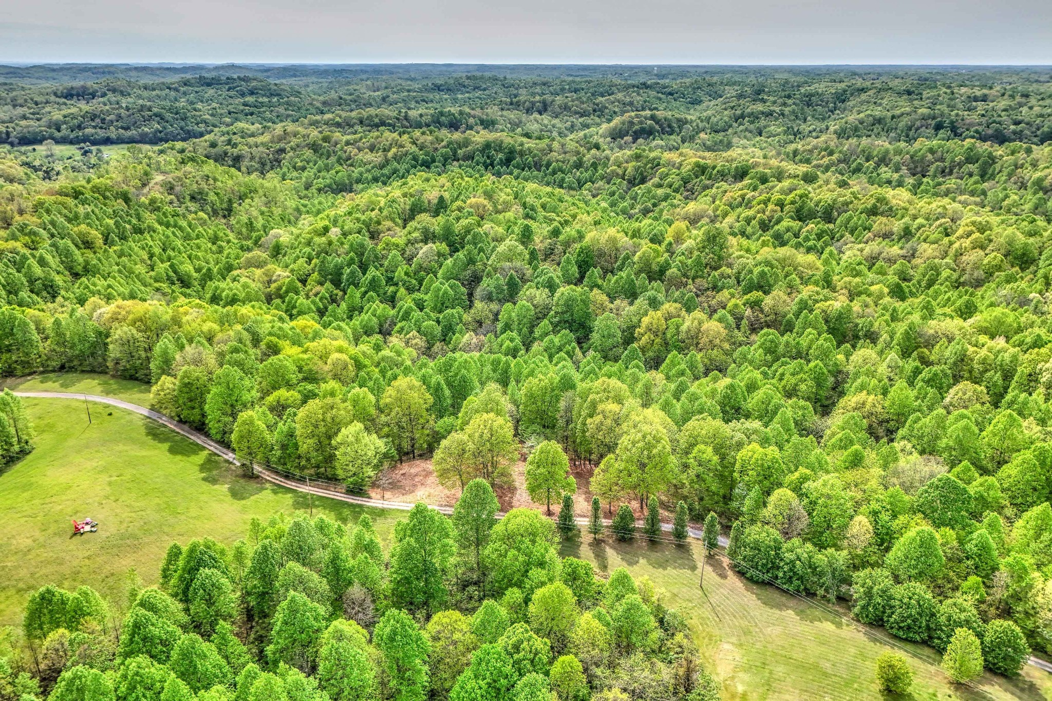 0 R B K Lane Bethpage, TN 37022 - Photo 15 of 20 a view of a garden with a lake