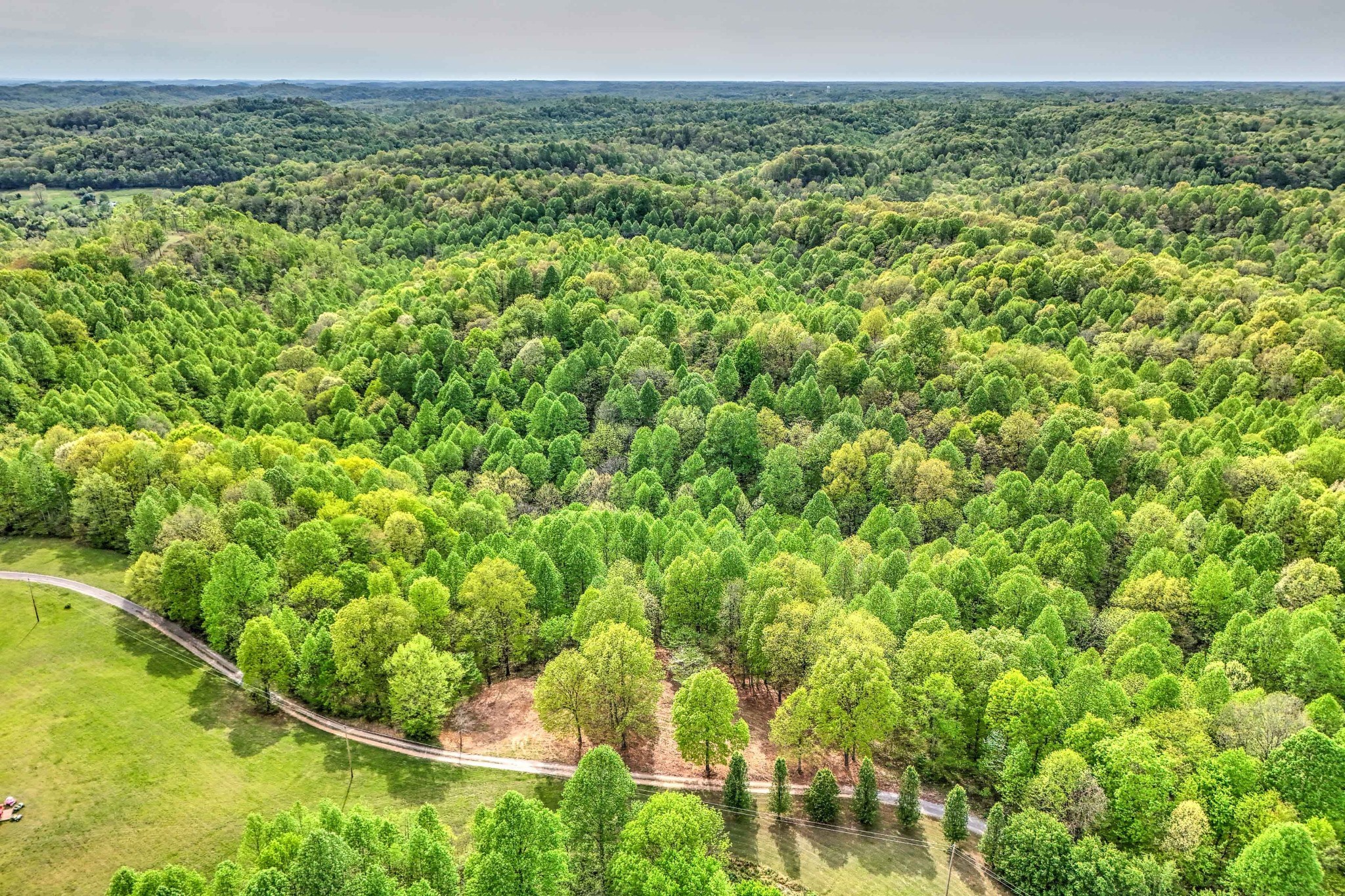0 R B K Lane Bethpage, TN 37022 - Photo 16 of 20 a view of a lush green field