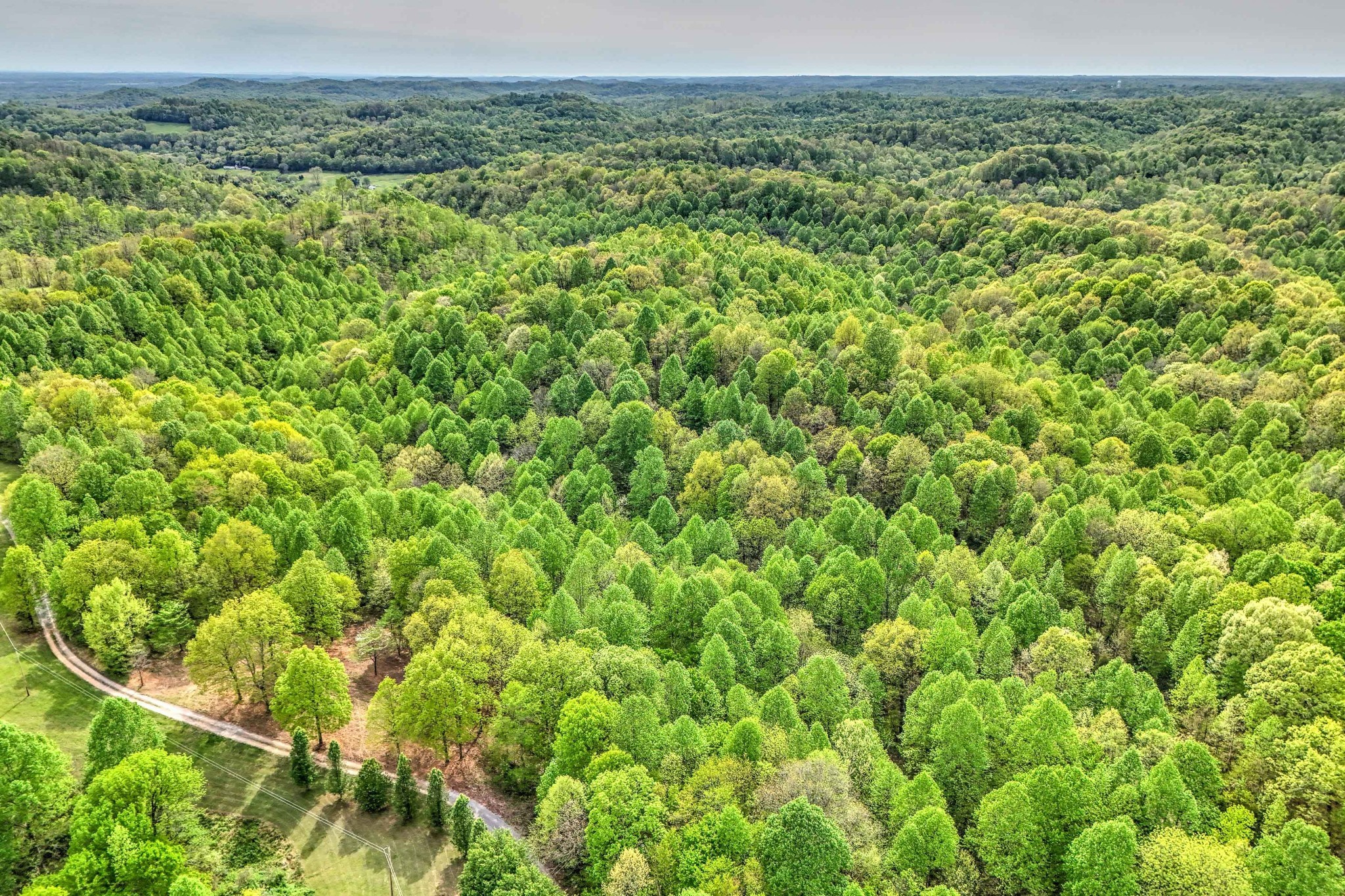 0 R B K Lane Bethpage, TN 37022 - Photo 17 of 20 a view of a green field