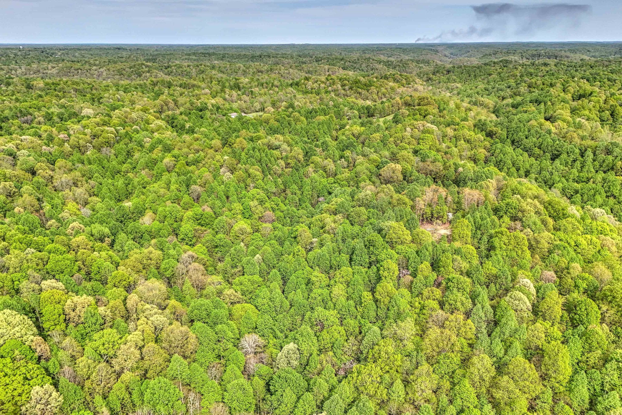0 R B K Lane Bethpage, TN 37022 - Photo 19 of 20 a view of a field with an outdoor space