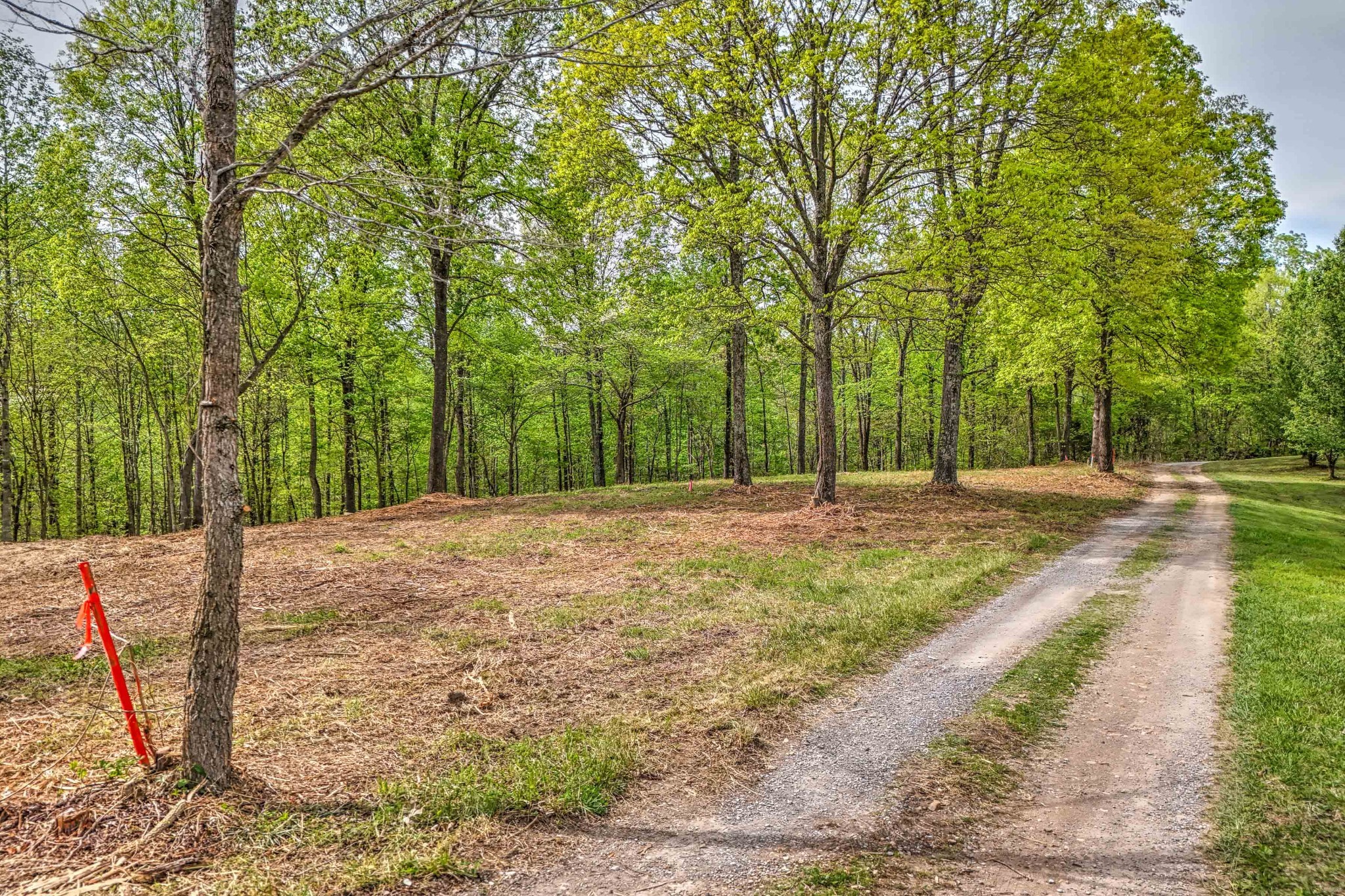 0 R B K Lane Bethpage, TN 37022 - Photo 2 of 20 a view of a backyard with large trees