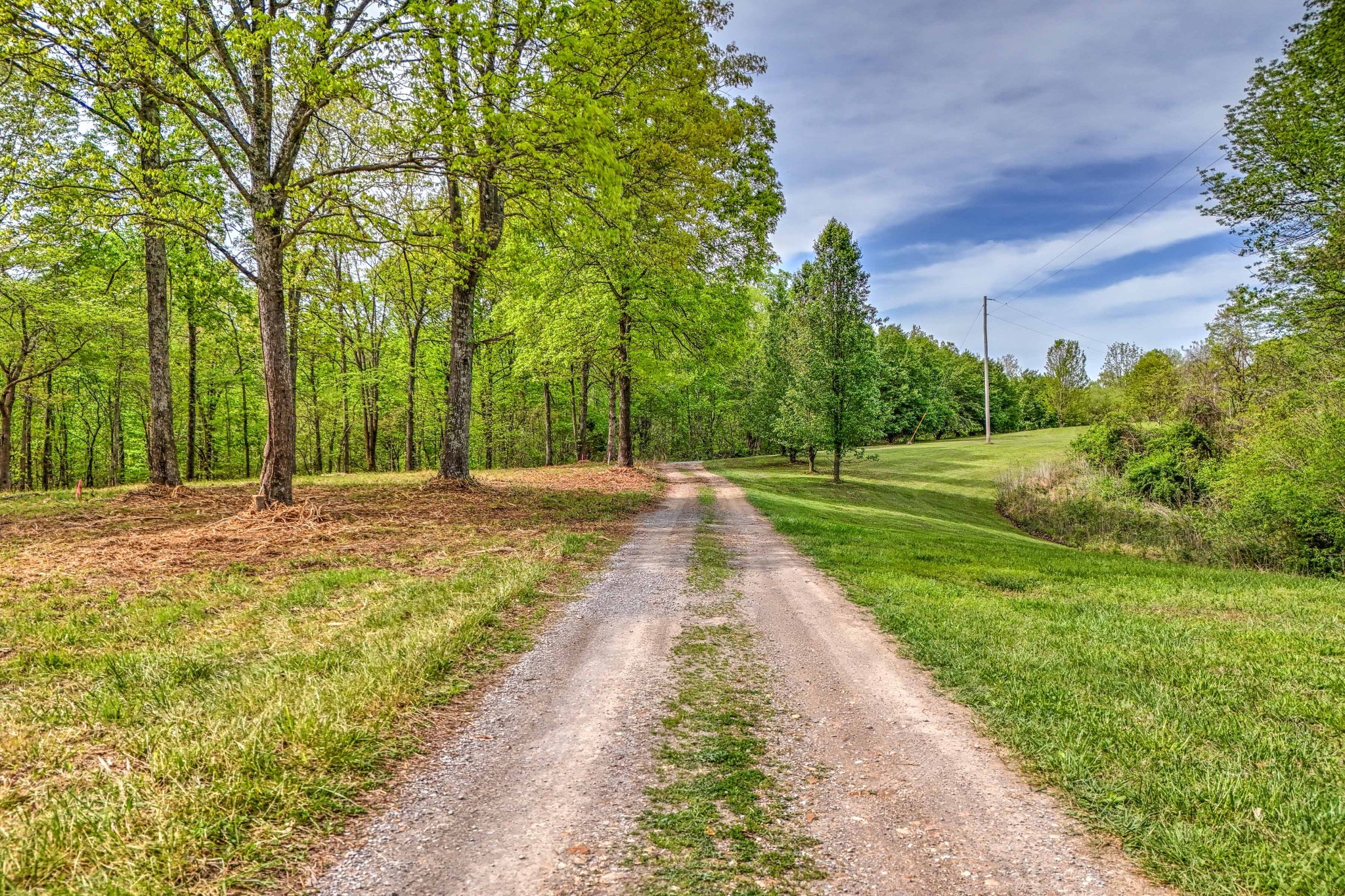 0 R B K Lane Bethpage, TN 37022 - Photo 3 of 20 a view of pathway with yard