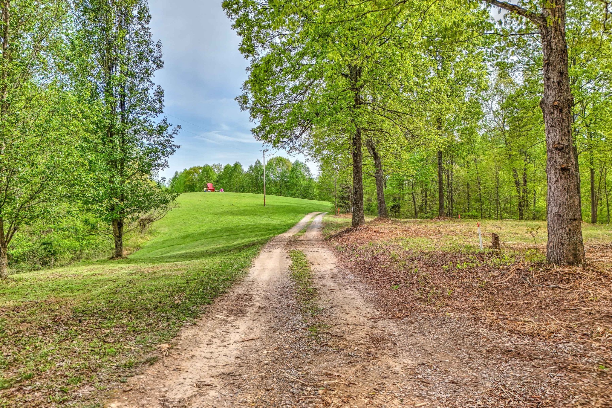 0 R B K Lane Bethpage, TN 37022 - Photo 4 of 20 a view of a yard with plants and trees