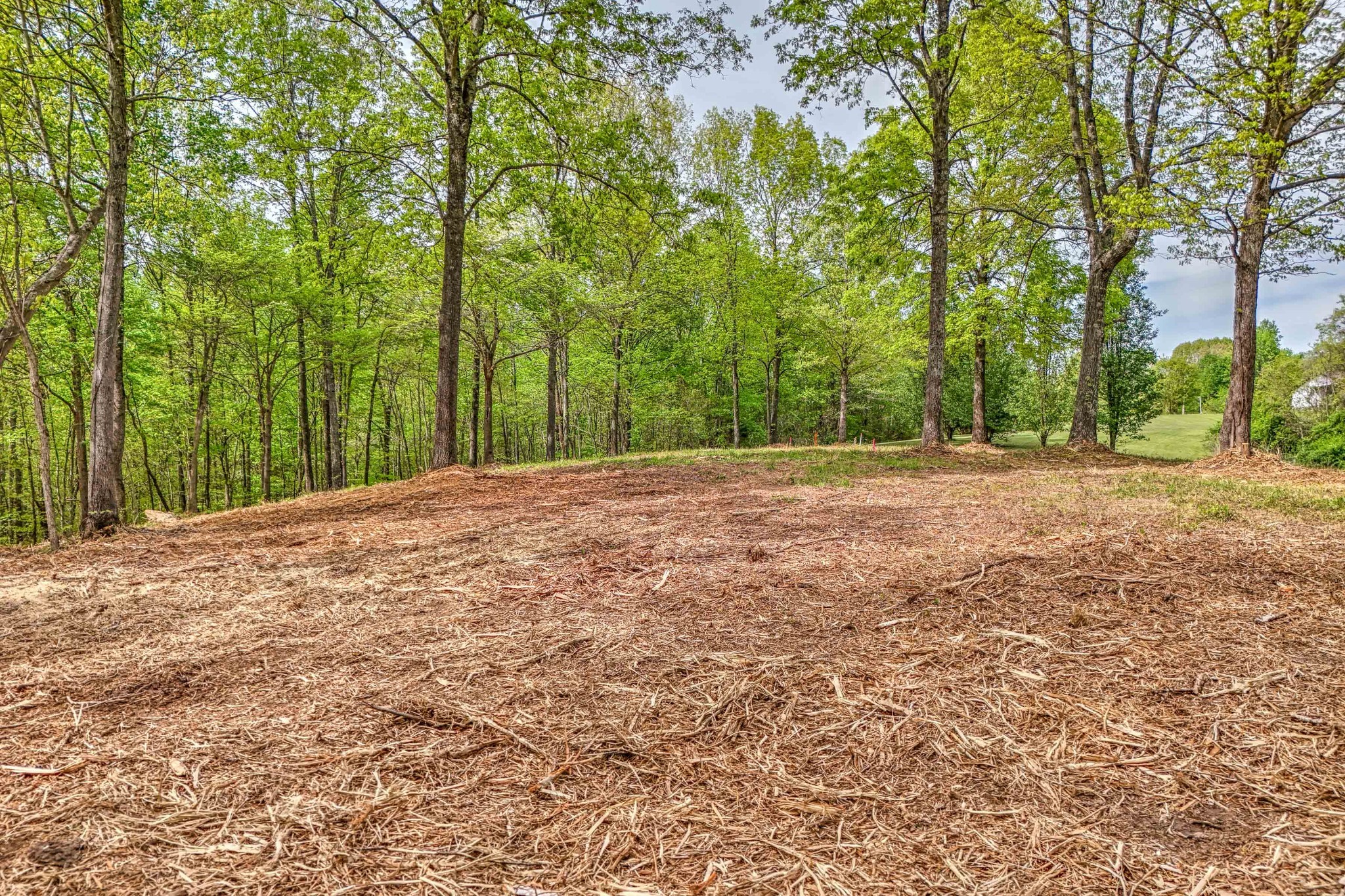 0 R B K Lane Bethpage, TN 37022 - Photo 5 of 20 a big yard with trees in the background