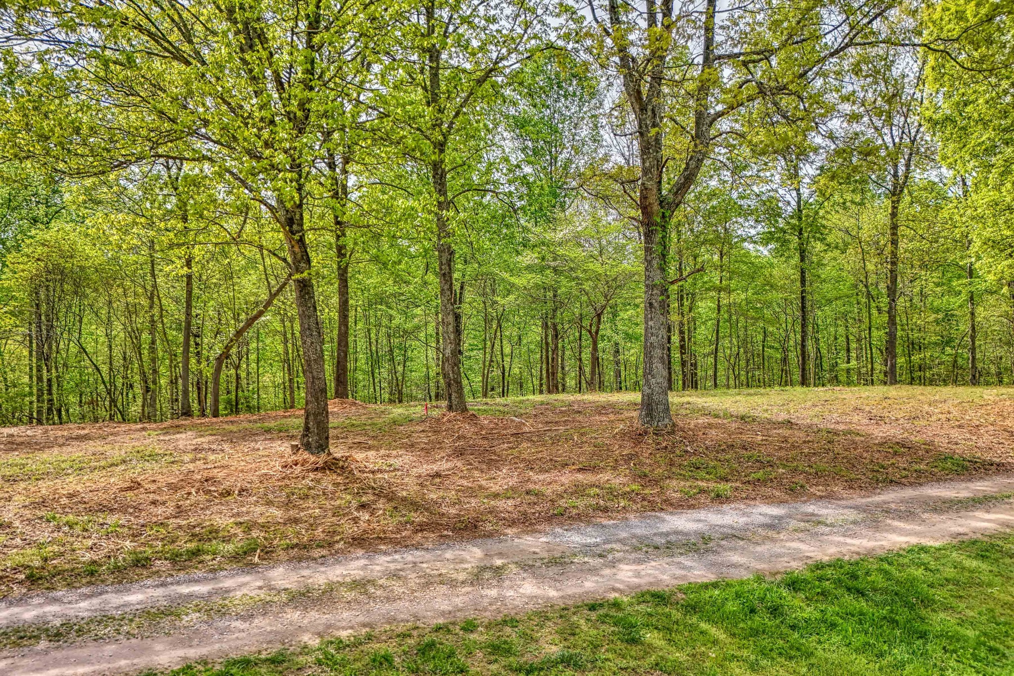 0 R B K Lane Bethpage, TN 37022 - Photo 7 of 20 a house with trees in the background