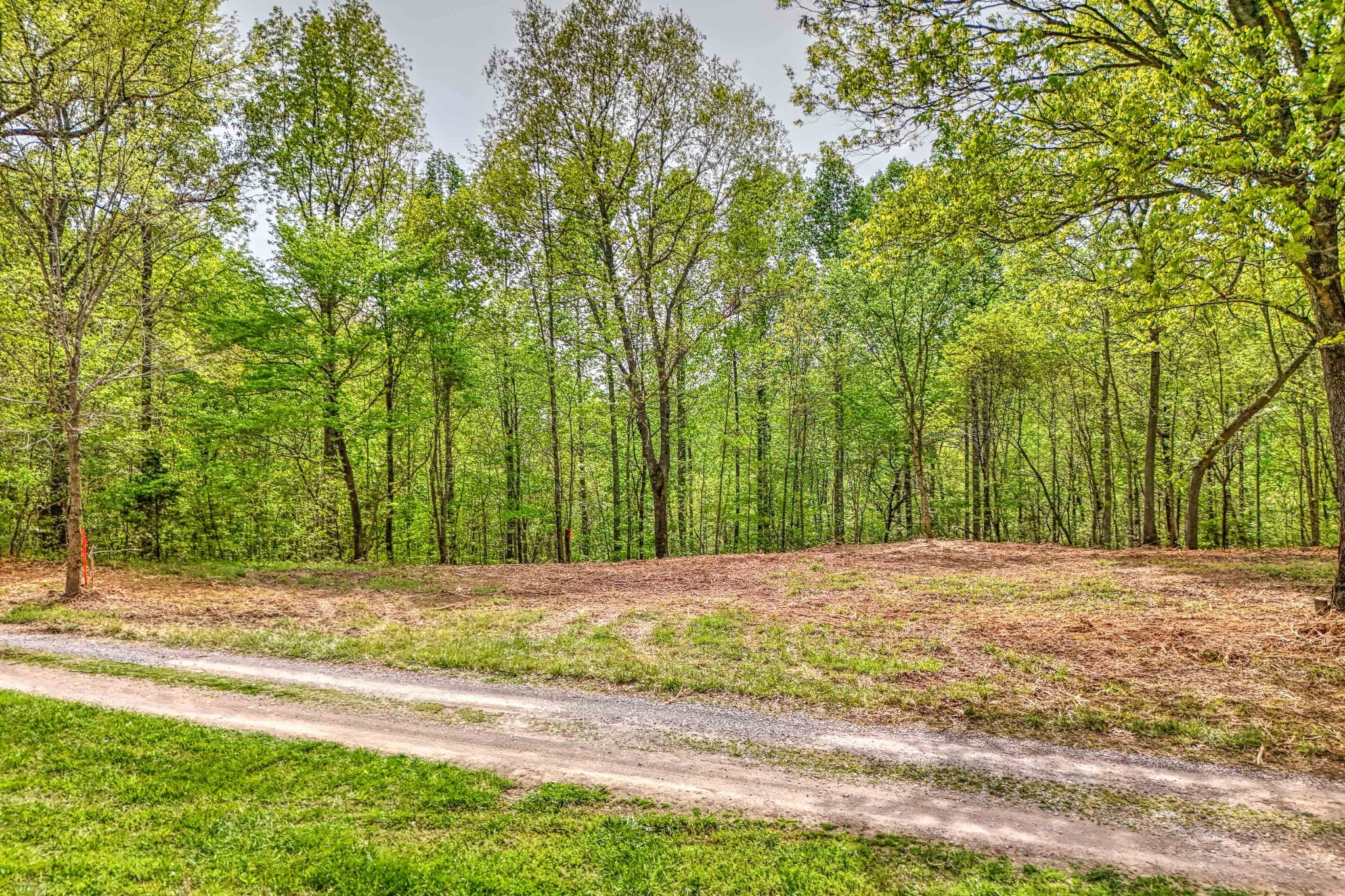 0 R B K Lane Bethpage, TN 37022 - Photo 8 of 20 a view of a yard with large trees
