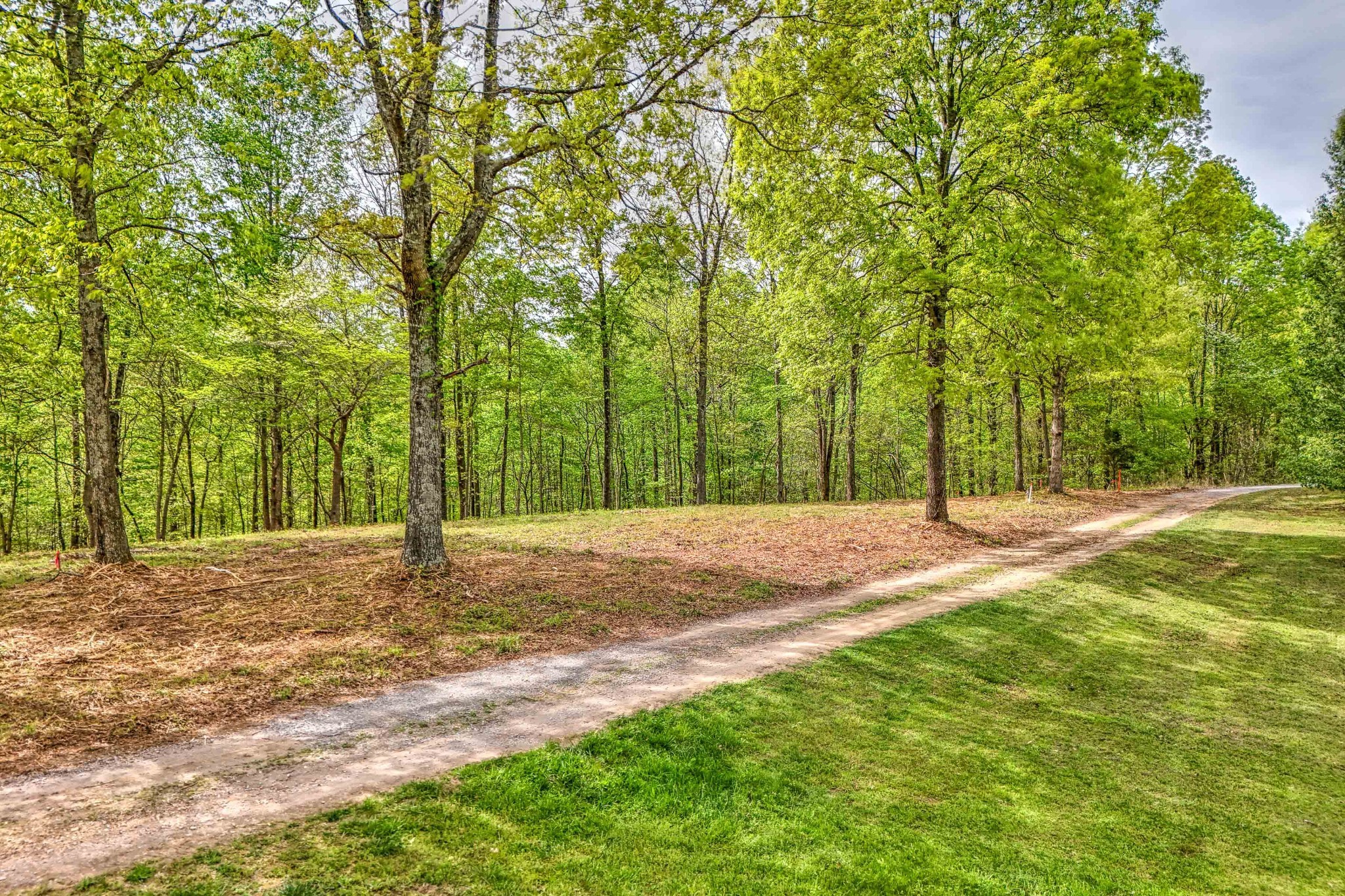 0 R B K Lane Bethpage, TN 37022 - Photo 9 of 20 a backyard of a house with large trees