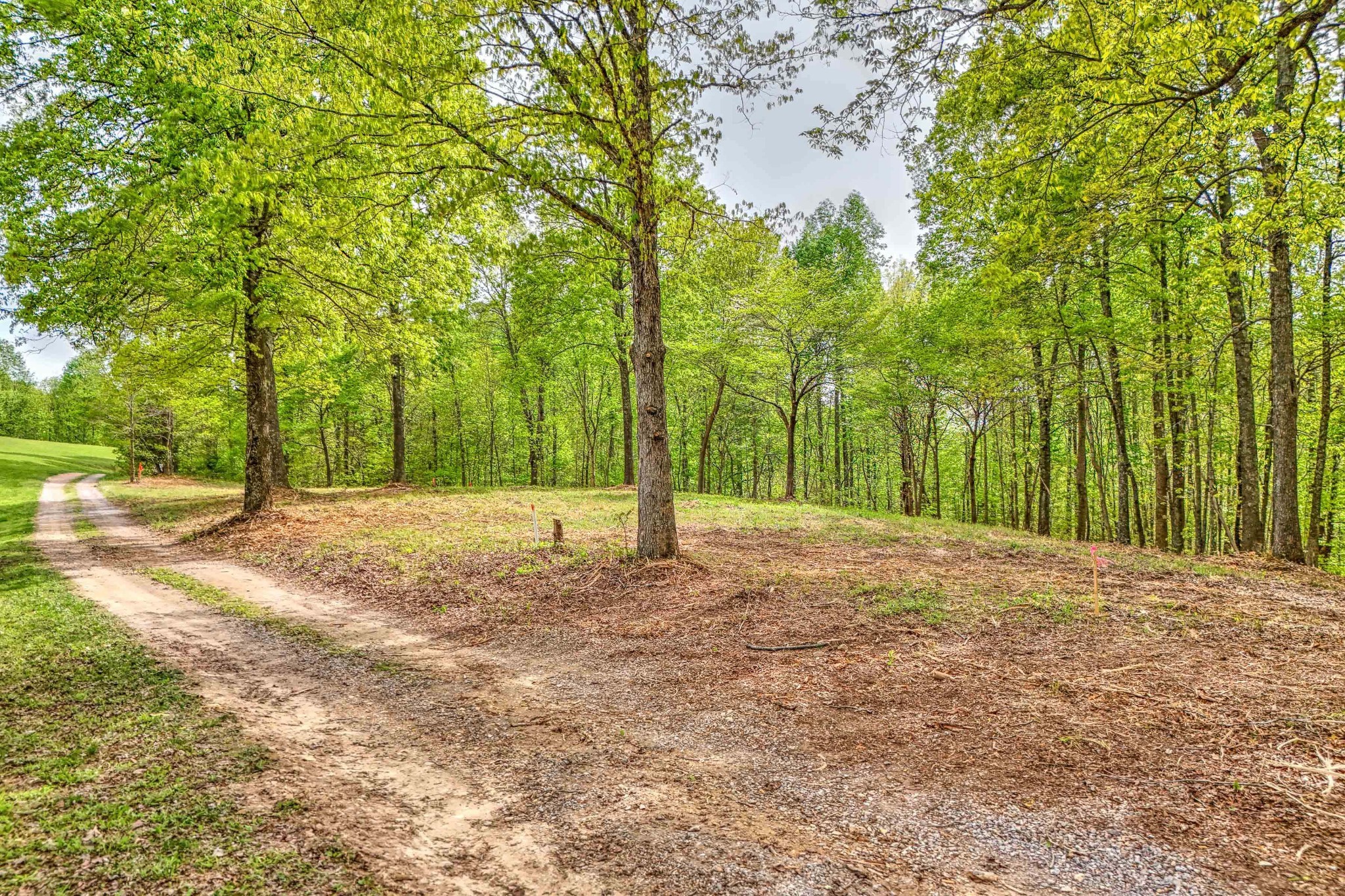 0 R B K Lane Bethpage, TN 37022 - Photo 10 of 20 a view of backyard space