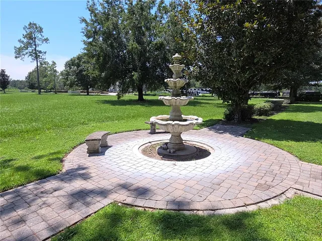 a view of a garden with a tree in the background