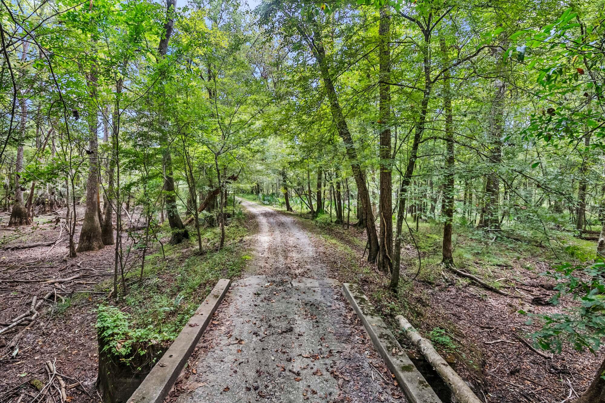7884 Peirce Road Ridgeville, SC 29472 - Photo 69 of 84 HFL_EDISTO RIVER 80+ ACRES-65