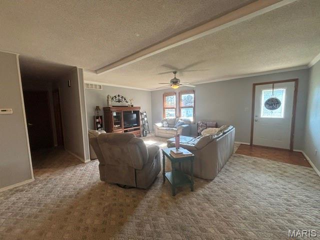309 Palmyra Street Perry, MO 63462 - Photo 9 of 30