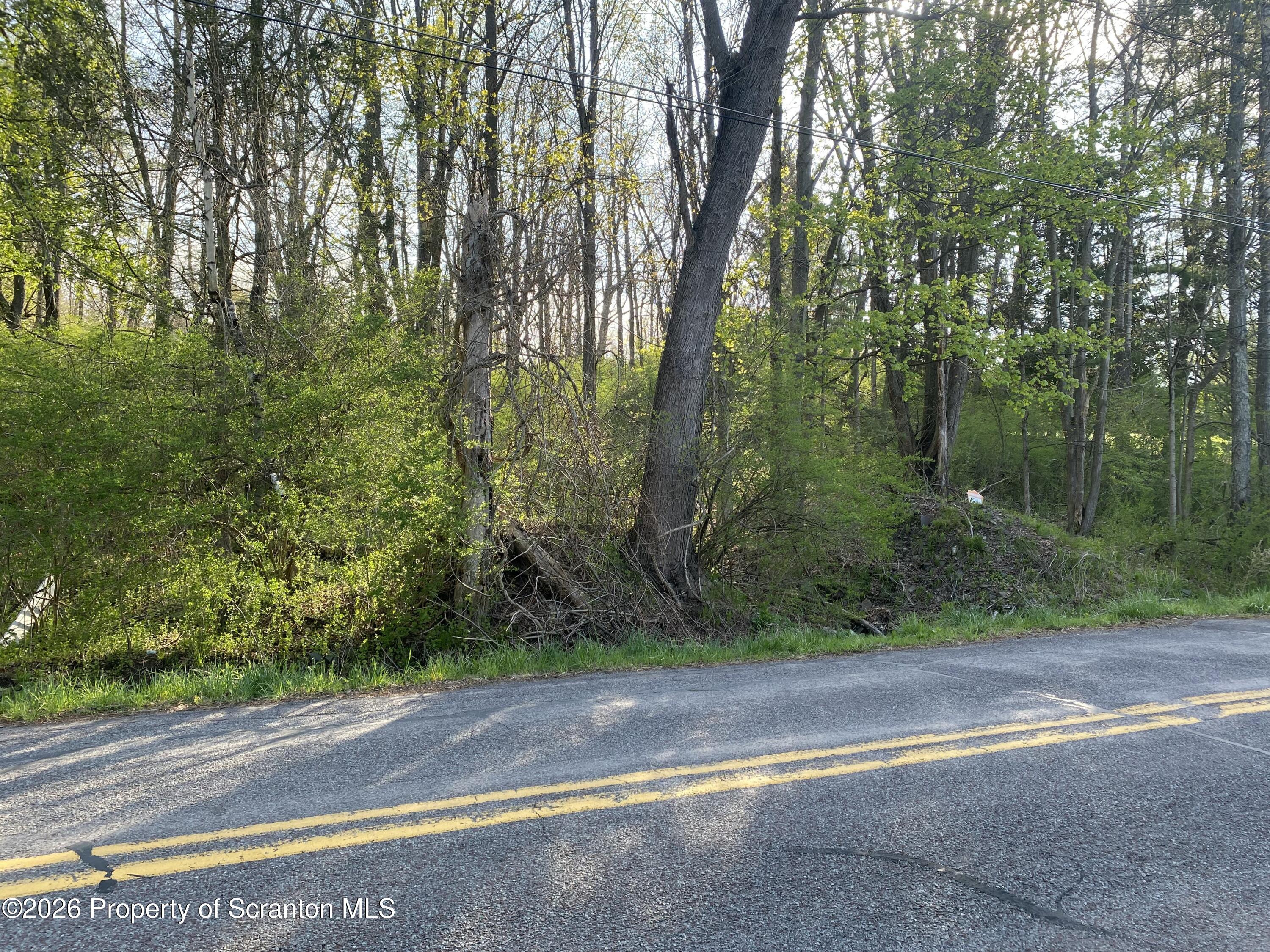 4010 Ackerly Road Clarks Summit, PA 18411 - Photo 4 of 7 a view of a yard with a trees