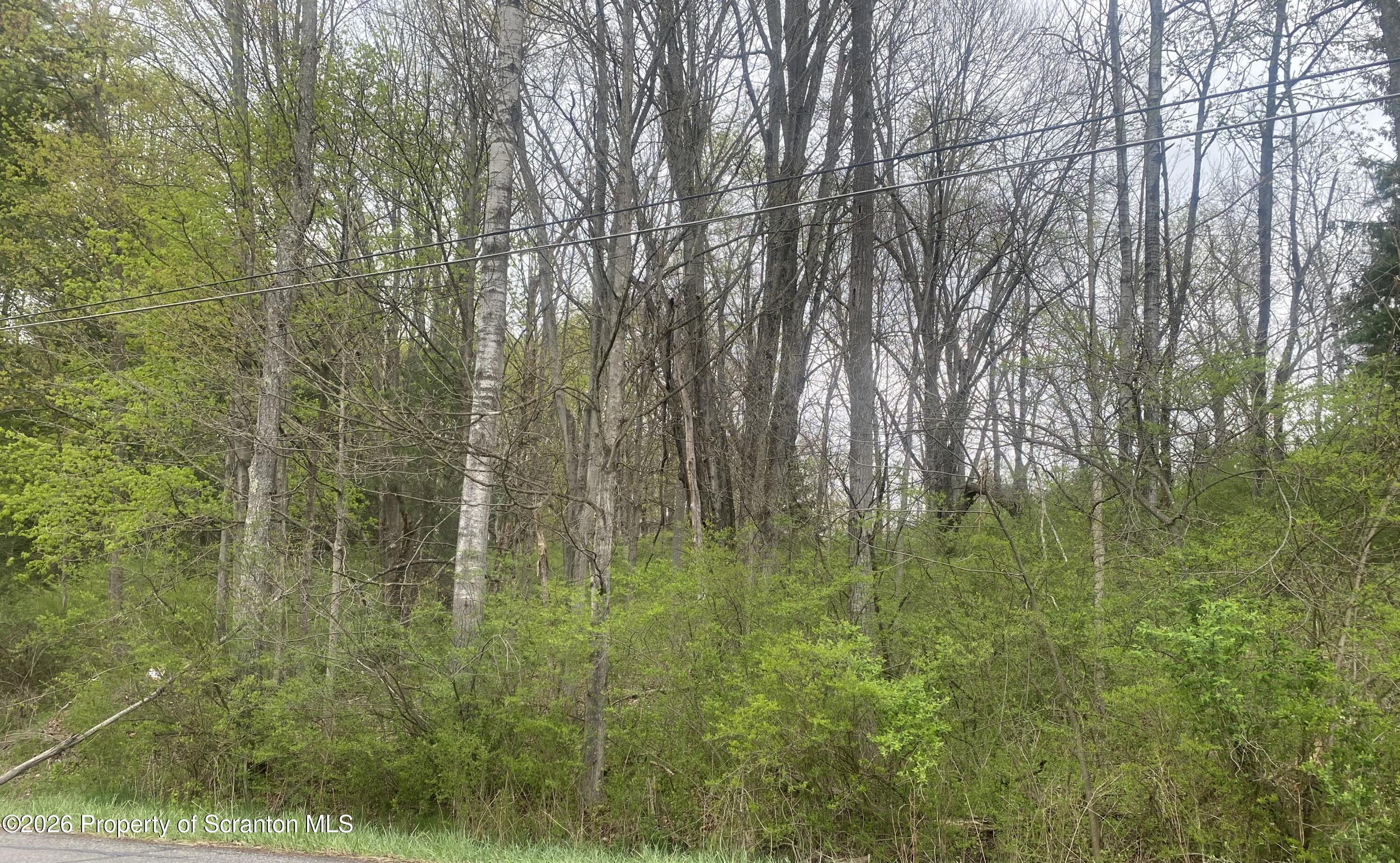 4010 Ackerly Road Clarks Summit, PA 18411 - Photo 5 of 7