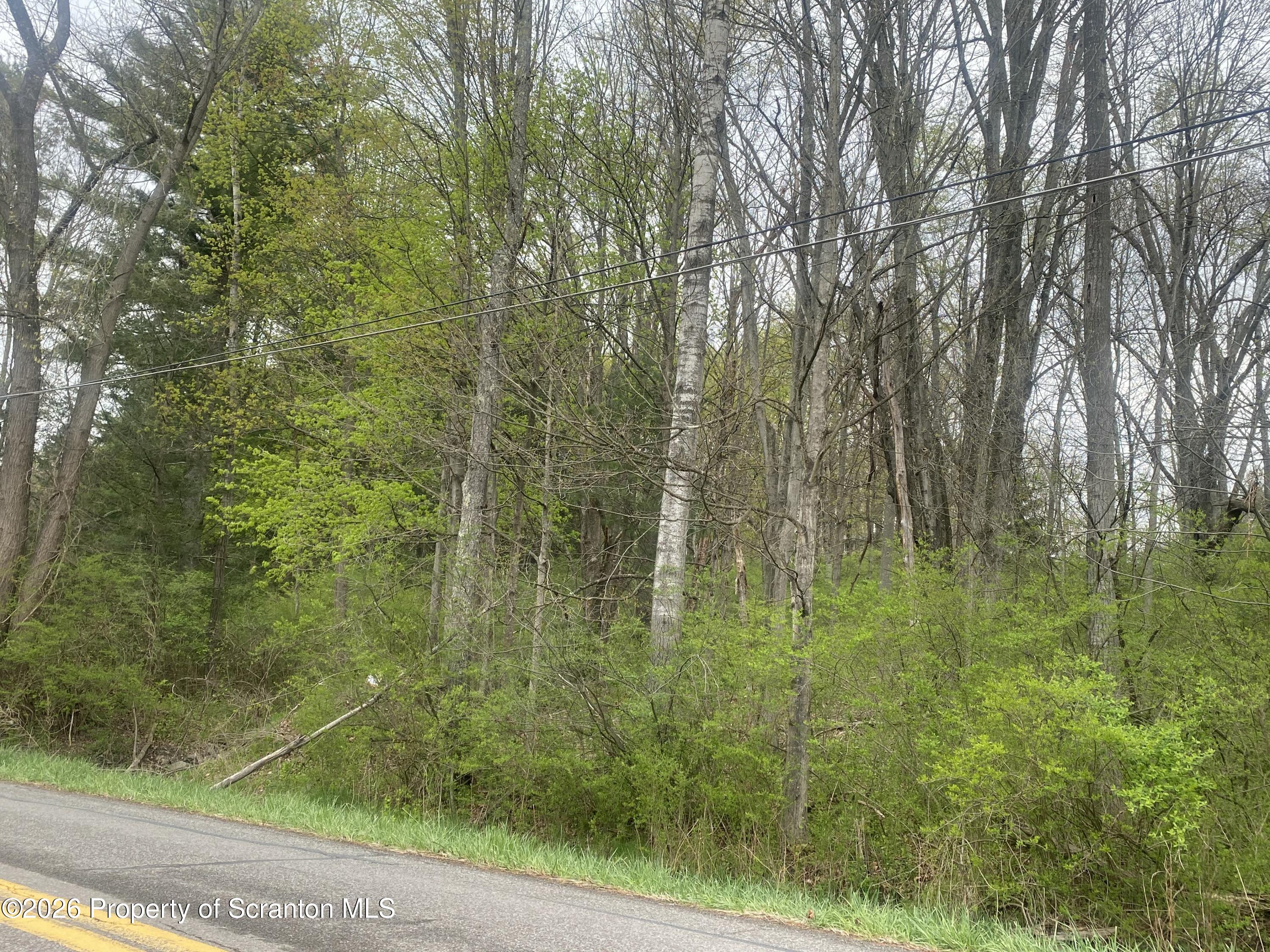 4010 Ackerly Road Clarks Summit, PA 18411 - Photo 6 of 7 a view of a garden