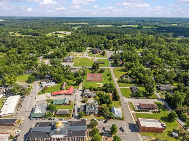 an aerial view of residential houses with outdoor space and trees