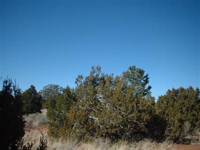 4287 East Wingfield Road Williams, AZ 86046 - Photo 2 of 4 Additional Photo