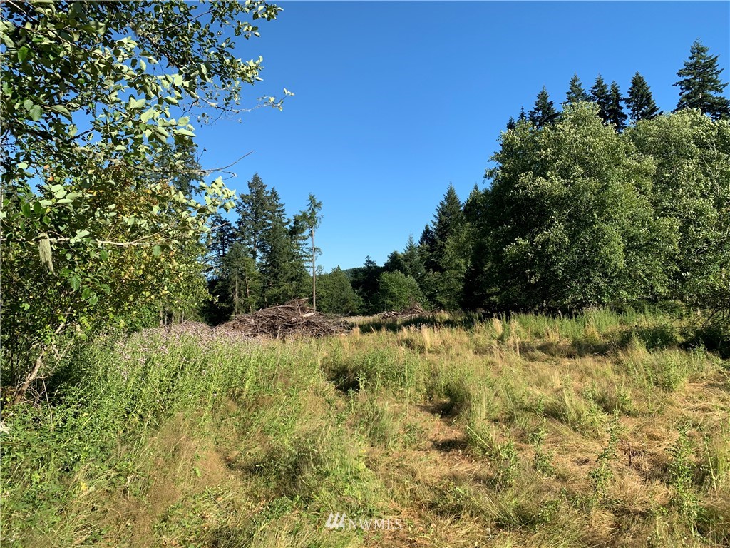 0 Carnine Road Silverlake, WA 98645 - Photo 2 of 5 Gallery Image 2