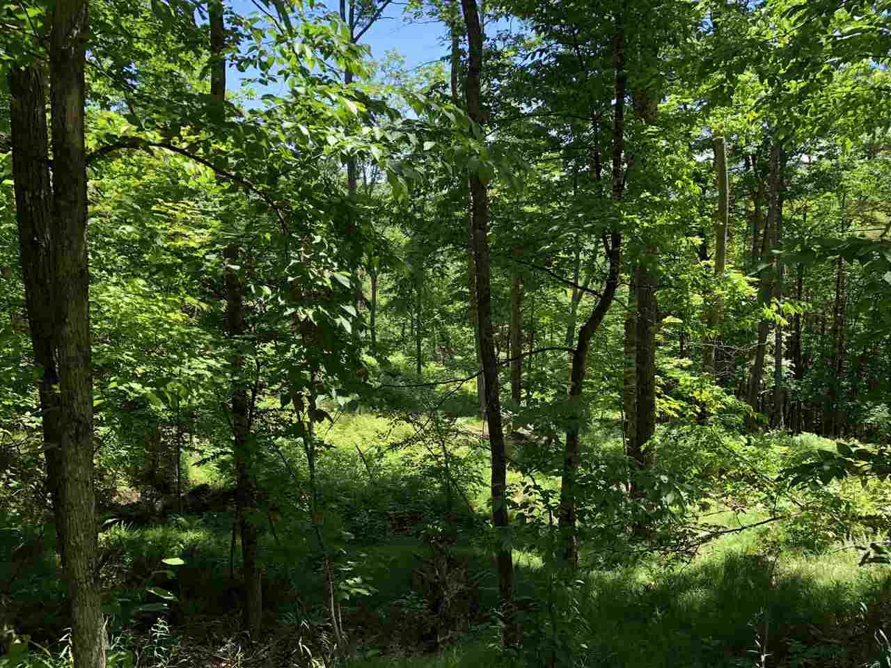 278 Boltonville Road Ryegate, VT 05081 - Photo 4 of 6