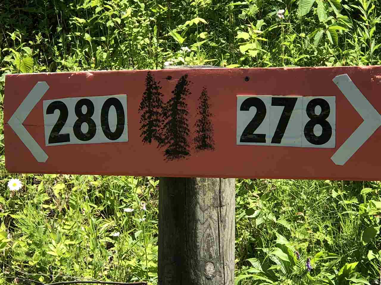 278 Boltonville Road Ryegate, VT 05081 - Photo 6 of 6