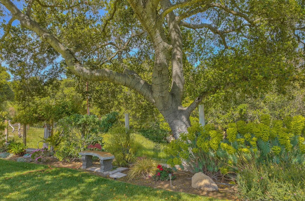 190 San Benancio Road Salinas, CA 93908 - Photo 55 of 61