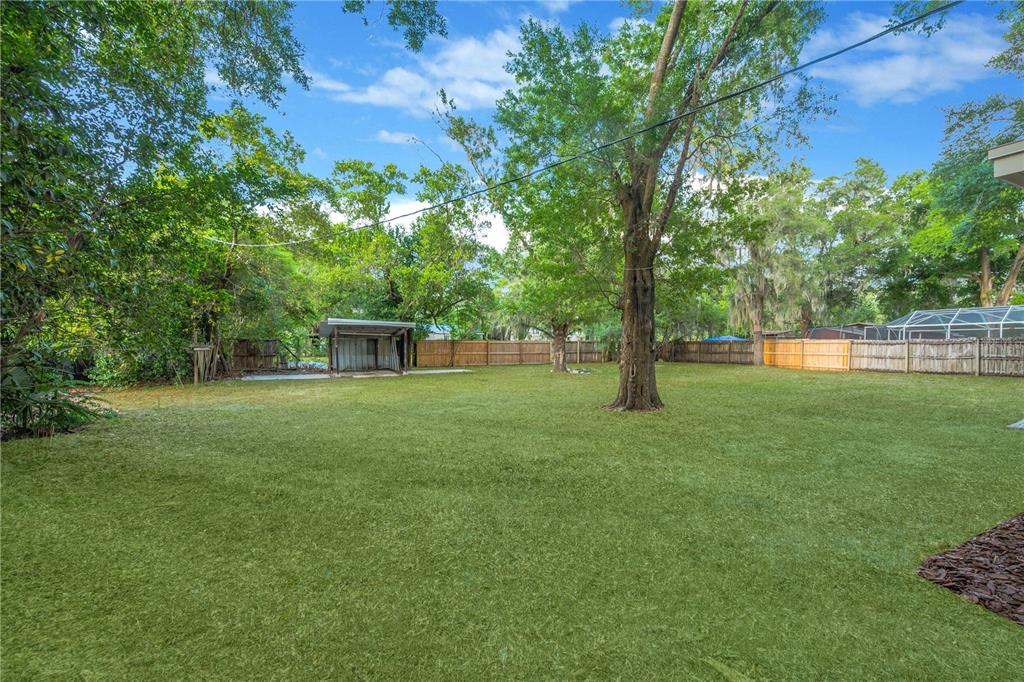 13906 Raulerson Road Riverview, FL 33569 - Photo 17 of 39