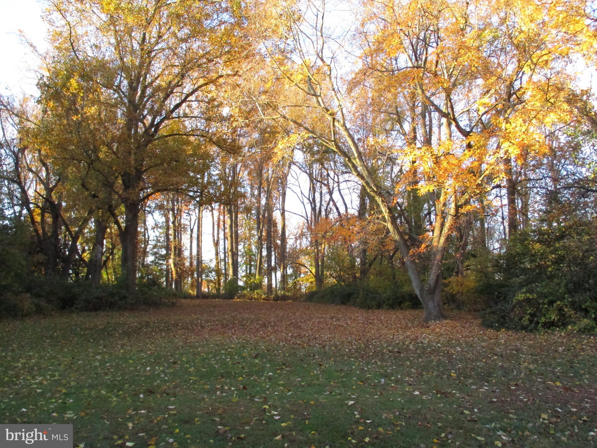 508 Weir Road Aston, PA 19014 - Photo 26 of 29 Beautiful Backyard
