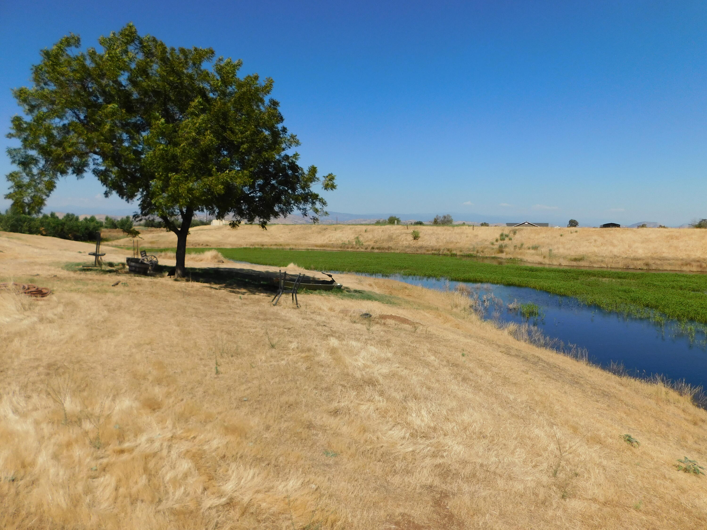 20367 Goodfellow Avenue Reedley, CA 93654 - Photo 93 of 123 900