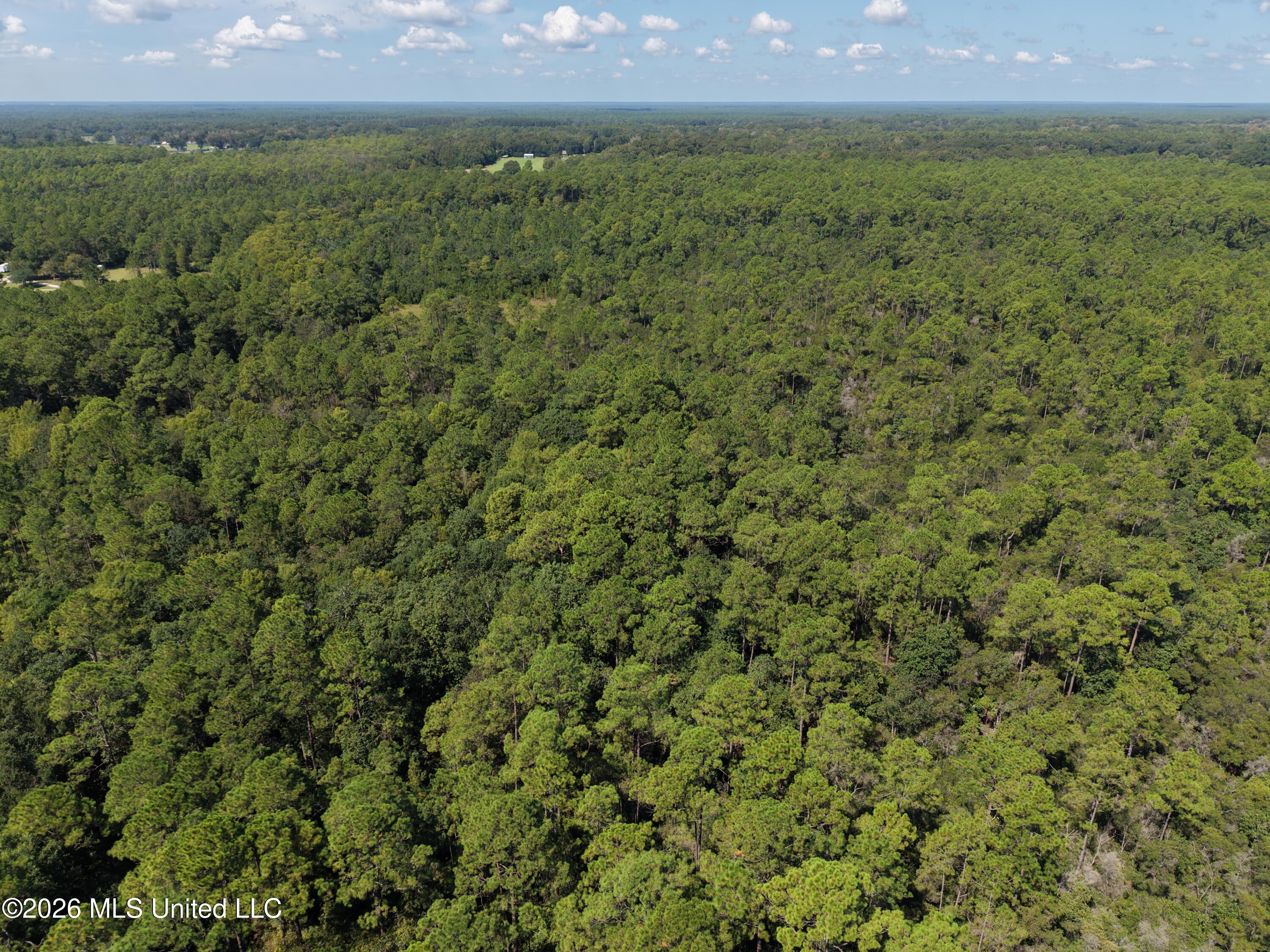 Rayford Shumock Road Moss Point, MS 39562 - Photo 27 of 40 DJI_20260909110943_0042_D