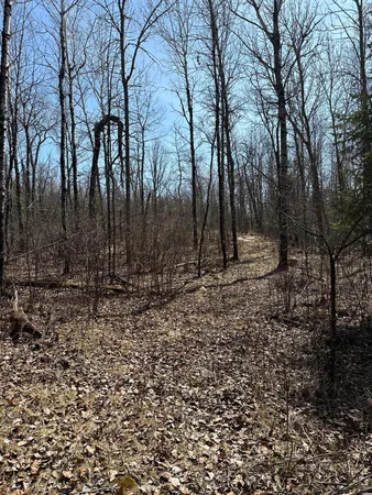 $389,000 | Tbd Tbd Kabetogama Lake West, Kabetogama, MN 56669