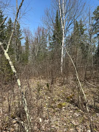 $389,000 | Tbd Tbd Kabetogama Lake West, Kabetogama, MN 56669