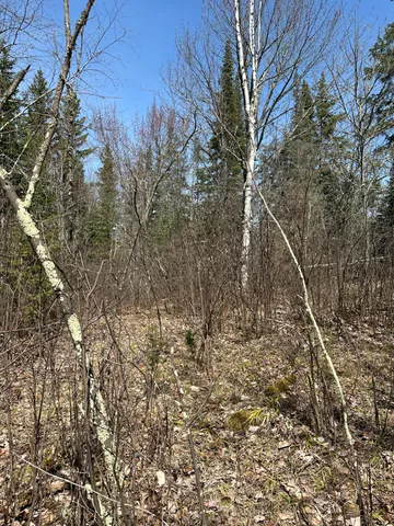 $389,000 | Tbd Tbd Kabetogama Lake West, Kabetogama, MN 56669