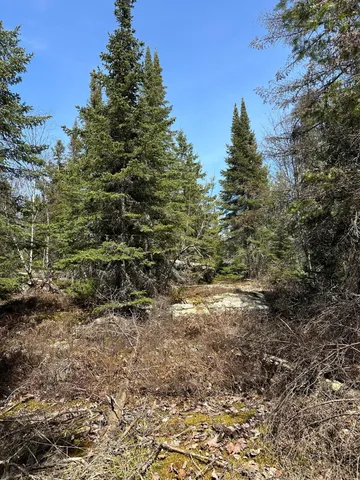 $389,000 | Tbd Tbd Kabetogama Lake West, Kabetogama, MN 56669