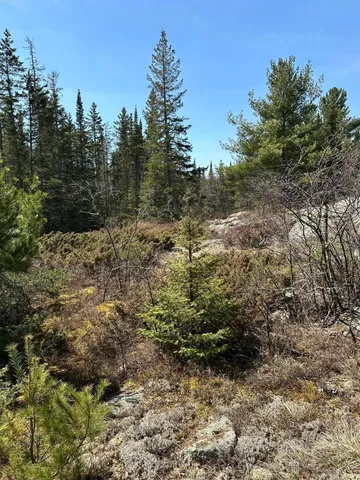 $389,000 | Tbd Tbd Kabetogama Lake West, Kabetogama, MN 56669