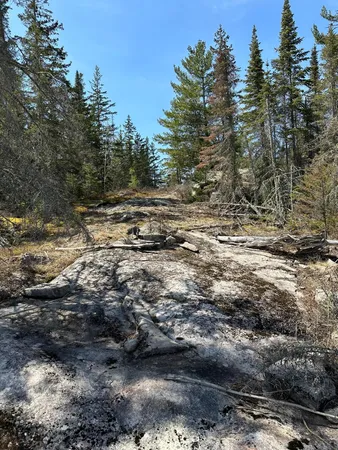 $389,000 | Tbd Tbd Kabetogama Lake West, Kabetogama, MN 56669