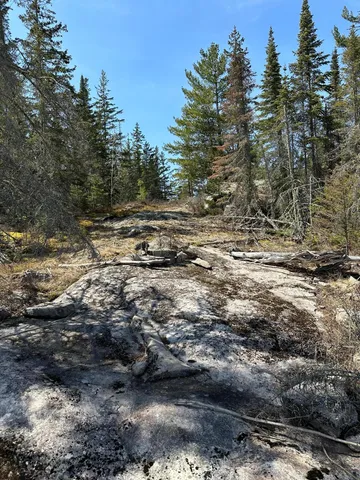 $389,000 | Tbd Tbd Kabetogama Lake West, Kabetogama, MN 56669