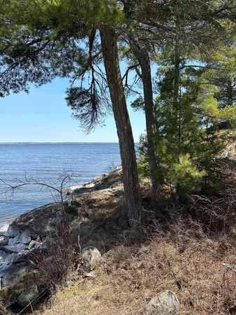 $389,000 | Tbd Tbd Kabetogama Lake West, Kabetogama, MN 56669