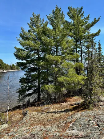 $389,000 | Tbd Tbd Kabetogama Lake West, Kabetogama, MN 56669