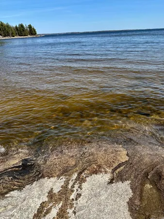 $389,000 | Tbd Tbd Kabetogama Lake West, Kabetogama, MN 56669