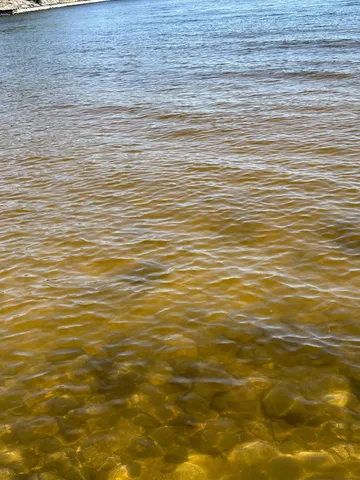 $389,000 | Tbd Tbd Kabetogama Lake West, Kabetogama, MN 56669