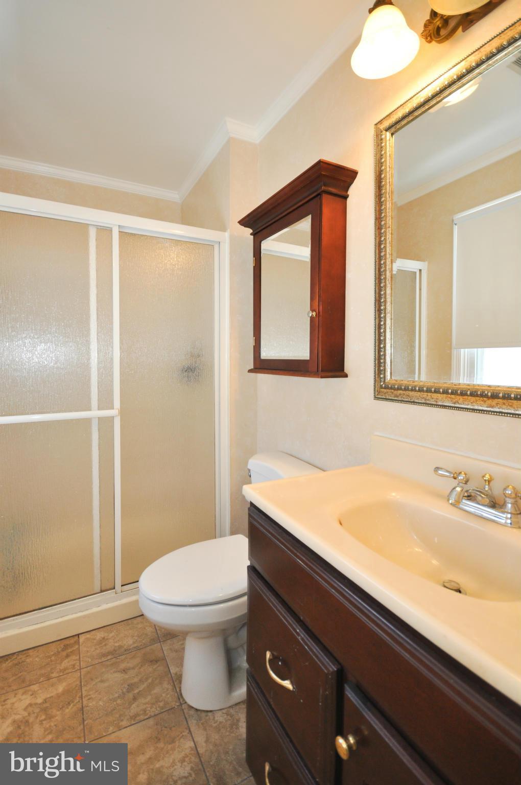 9210 Ramblebrook Road Baltimore, MD 21236 - Photo 16 of 25 Bath (Master)
