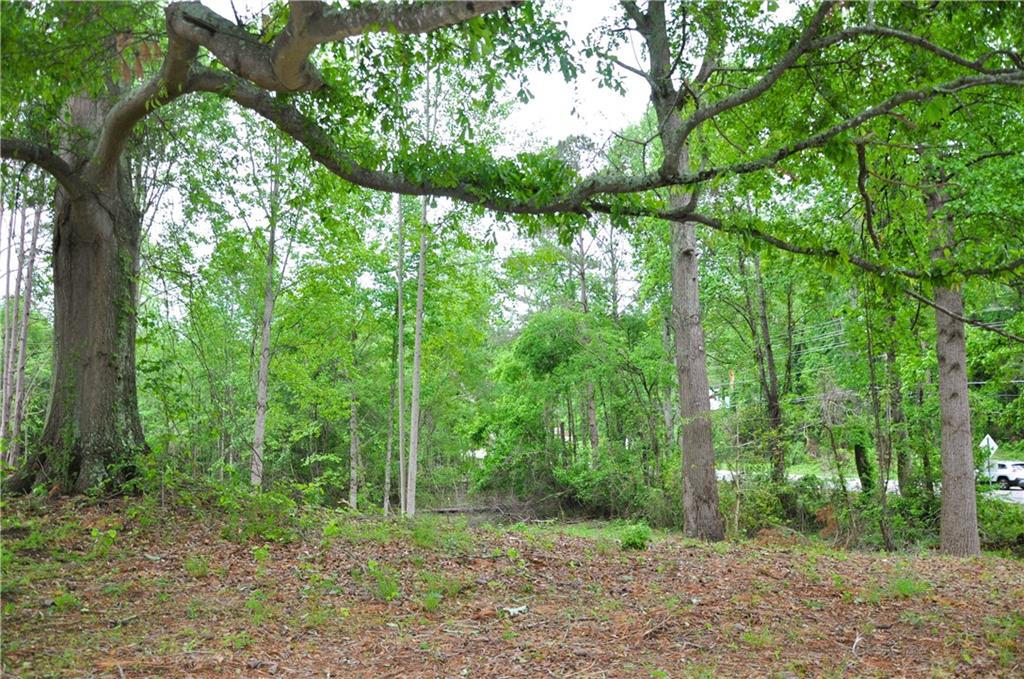 590 Villa Rica Highway Dallas, GA 30157 - Photo 10 of 11 a view of a forest filled with trees