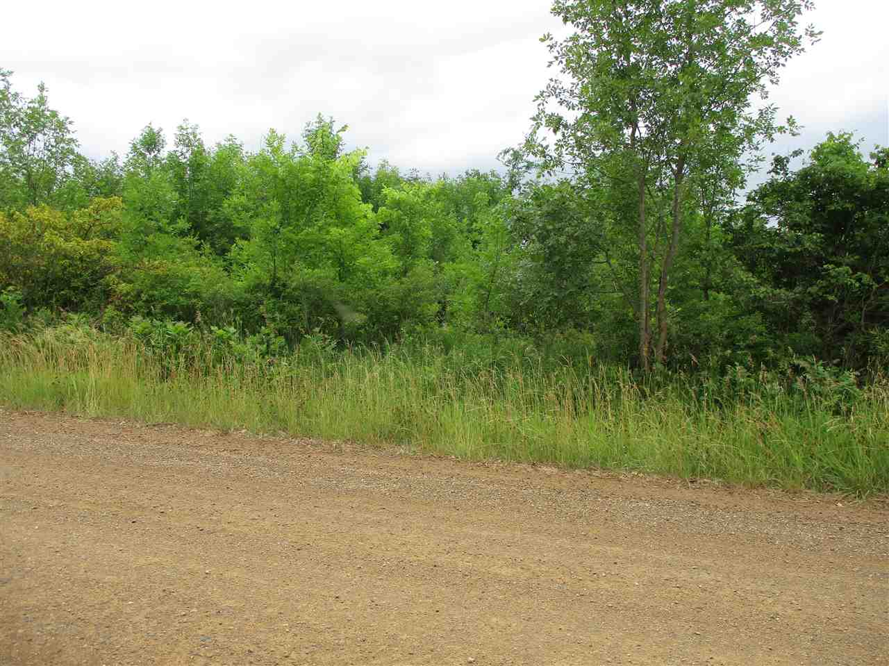0 Cook Road Gaines, MI 48436 - Photo 12 of 14
