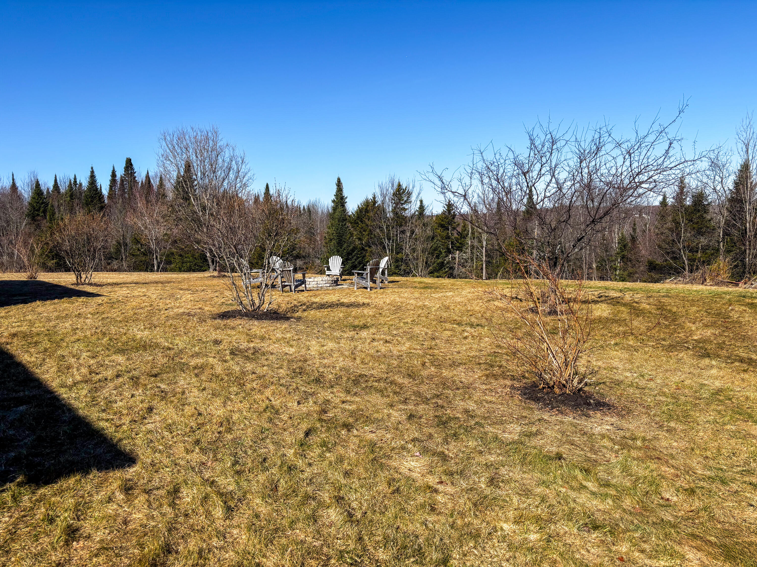 6760 Star Road Ellenburg Center, NY 12934 - Photo 39 of 48 Large Backyard