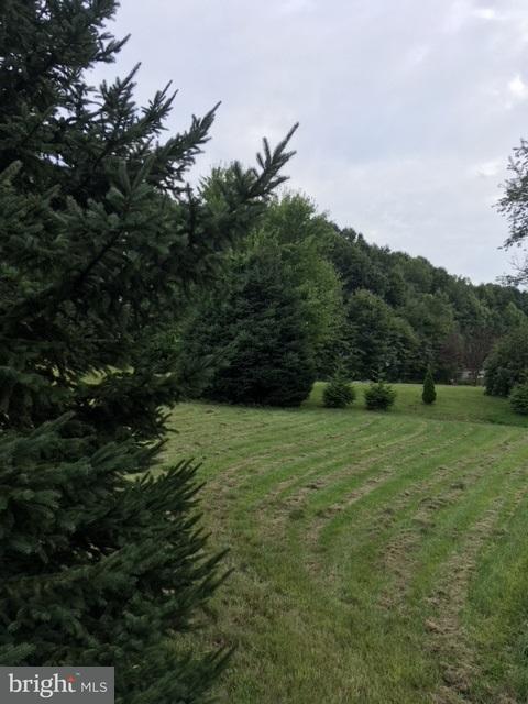 551 B Carsonville Road Halifax, PA 17032 - Photo 42 of 45 #Halifax #17032 #3.5acres