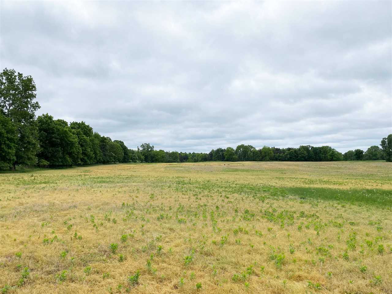 V/l West Hibbard Road Owosso, MI 48867 - Photo 4 of 5