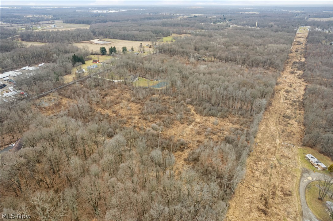 Lane Road Southwest Warren, OH 44481 - Photo 8 of 9 Bird's eye view of a forest